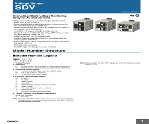 SDV-DM1-DC12.pdf