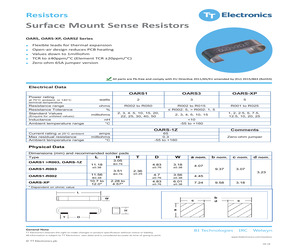 OARS-1-R005FI.pdf