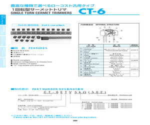 CT-6EP 500K??(504).pdf