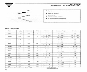 NY51.02KOHM+/-1%BO2500.pdf