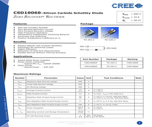 CSD10060G.pdf