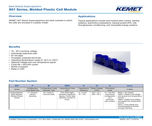 S01PM5805K016A.pdf