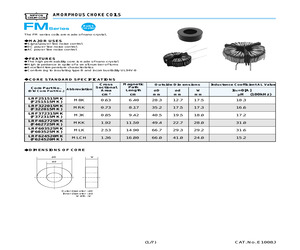 LDFM025252MJ-H0E.pdf