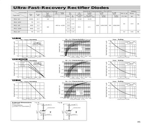 RG10AWK.pdf