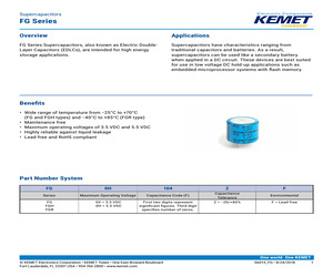 FG0H224ZF.pdf