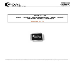 VRS1100-DAI40-ISPV2G.pdf