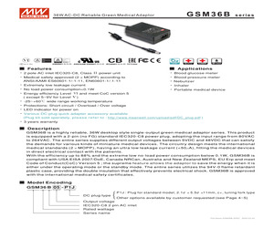 GSM36B18-P1J.pdf