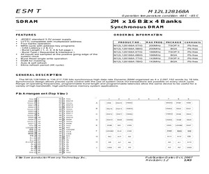 M12L128168A-7BIG.pdf