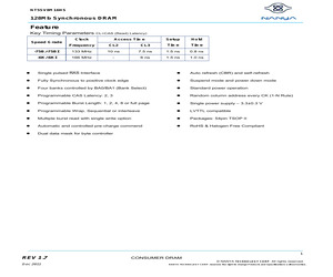 NT5SV8M16HS-6K.pdf