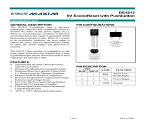 DS1813-10.pdf