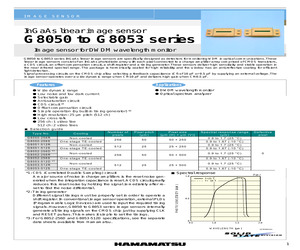 G8051-512R.pdf