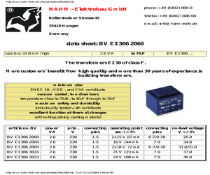 BV EI 306 2023.pdf