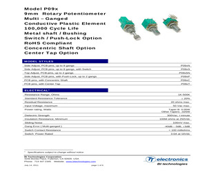 P091N-QC25AR1K.pdf