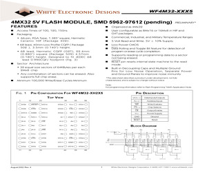 WF4M32-100G2TM5A.pdf