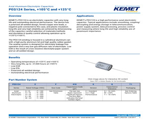 PEG124HB3100QT1.pdf