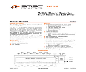 CAP1114-1-EZK-TR.pdf