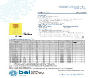 0ZRN0100FF1E.pdf