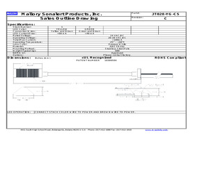 JT028-YG-CS.pdf