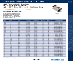 NH00GG40V125-1.pdf