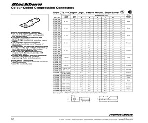 CTL40-38.pdf