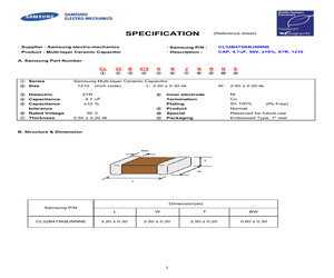 2P-A9654881.pdf