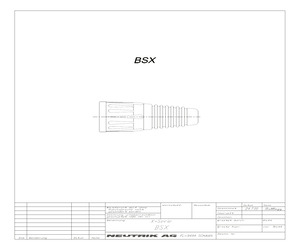 BSX-6.pdf