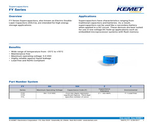 FYL0H103ZF.pdf