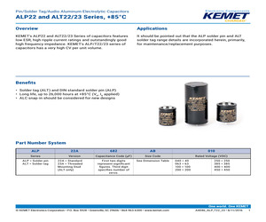 ALT22A102DD200.pdf