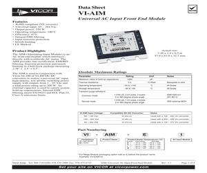 VE-AIM-I1.pdf