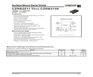 CZRB2024.pdf