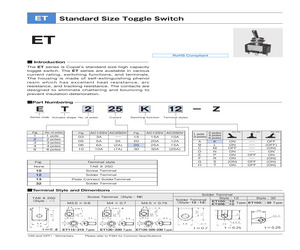 ET620N13-Z.pdf