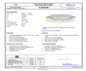 T2161N52K.pdf