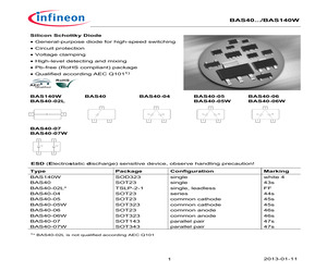 BAS40-04.pdf