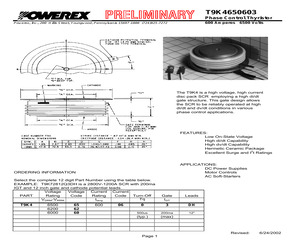 T9K4600603DH.pdf