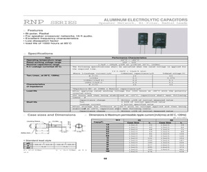 RNP1E010KIS.pdf