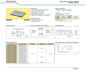 PARS310.00K00R.pdf