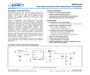 XRP6124ESTR0.5-F.pdf